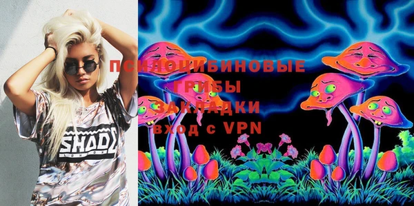 ГАЛЛЮЦИНОГЕННЫЕ ГРИБЫ Киреевск