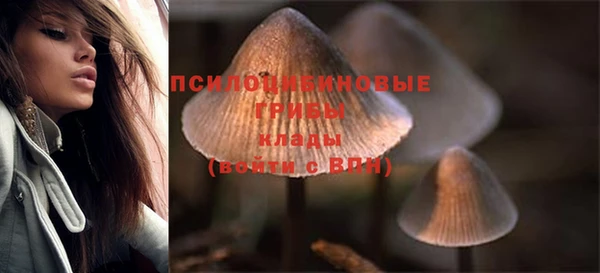 ГАЛЛЮЦИНОГЕННЫЕ ГРИБЫ Киреевск