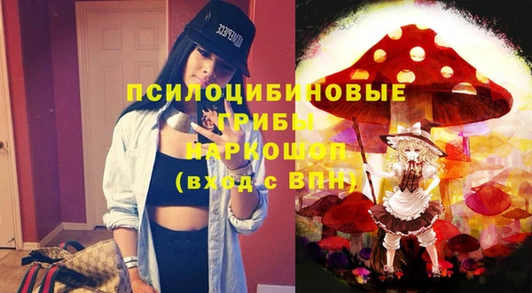 ГАЛЛЮЦИНОГЕННЫЕ ГРИБЫ Киреевск