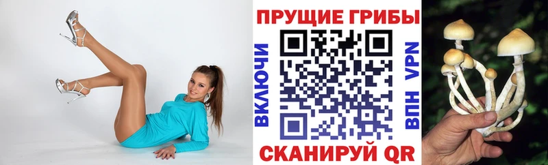 Галлюциногенные грибы мицелий  Купить  Анжеро-Судженск 