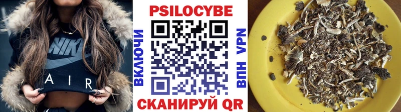 Псилоцибиновые грибы прущие грибы Анжеро-Судженск