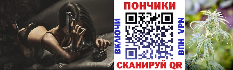 Купить закладки  Анжеро-Судженск  Бошки Шишки марихуана 